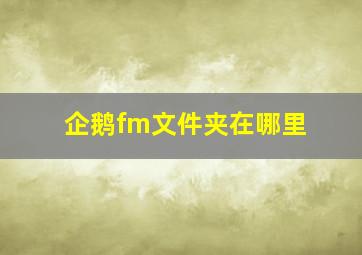 企鹅fm文件夹在哪里