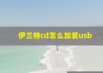 伊兰特cd怎么加装usb