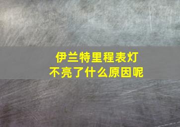 伊兰特里程表灯不亮了什么原因呢