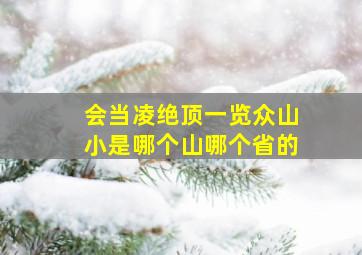 会当凌绝顶一览众山小是哪个山哪个省的