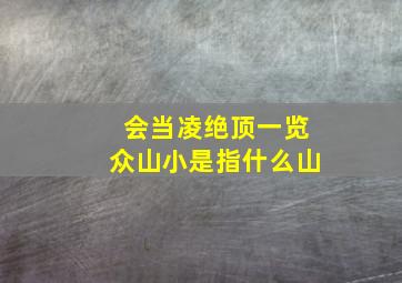 会当凌绝顶一览众山小是指什么山