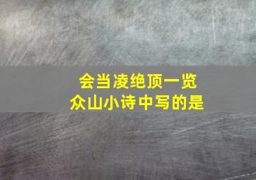 会当凌绝顶一览众山小诗中写的是