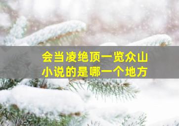 会当凌绝顶一览众山小说的是哪一个地方