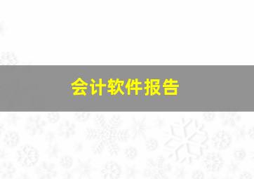 会计软件报告