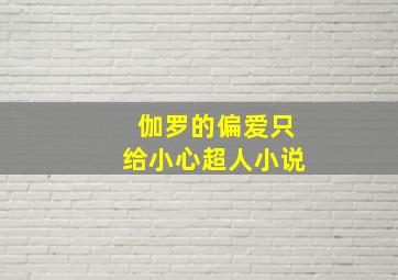 伽罗的偏爱只给小心超人小说