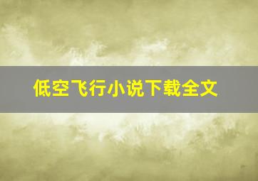 低空飞行小说下载全文