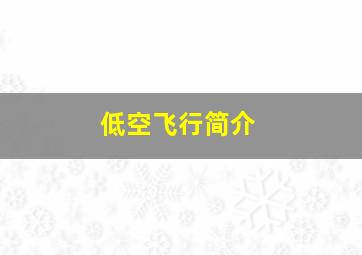 低空飞行简介