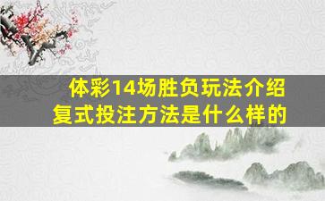 体彩14场胜负玩法介绍复式投注方法是什么样的