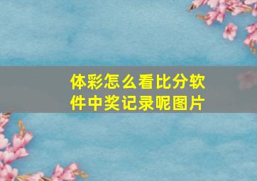 体彩怎么看比分软件中奖记录呢图片