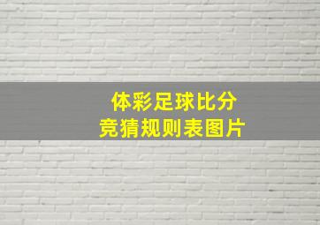 体彩足球比分竞猜规则表图片