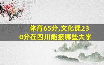 体育65分,文化课230分在四川能报哪些大学