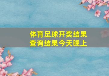 体育足球开奖结果查询结果今天晚上