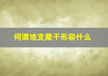 何谓地支藏干形容什么