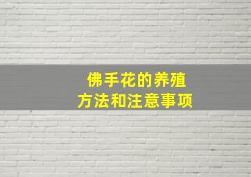 佛手花的养殖方法和注意事项