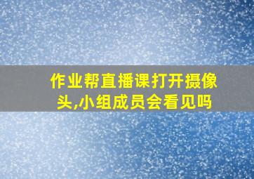 作业帮直播课打开摄像头,小组成员会看见吗