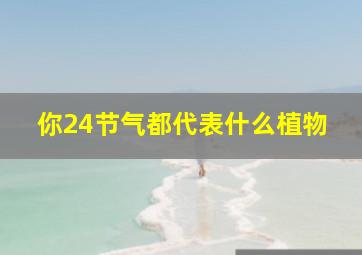 你24节气都代表什么植物