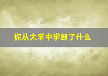 你从大学中学到了什么