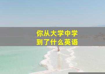 你从大学中学到了什么英语