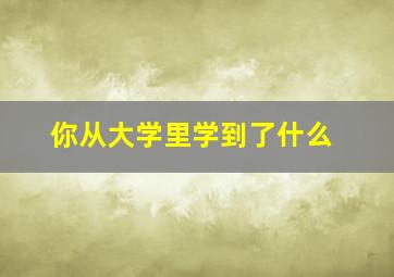 你从大学里学到了什么