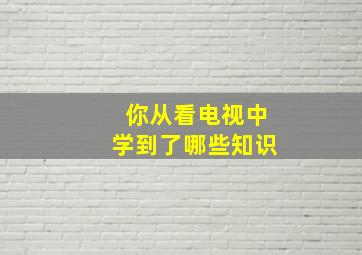 你从看电视中学到了哪些知识