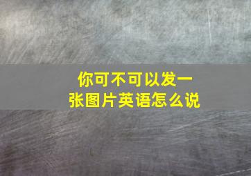 你可不可以发一张图片英语怎么说