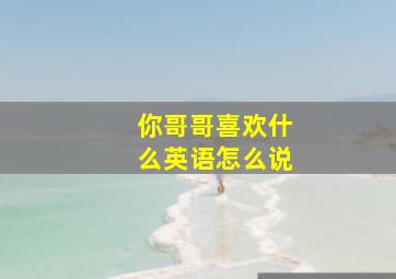 你哥哥喜欢什么英语怎么说