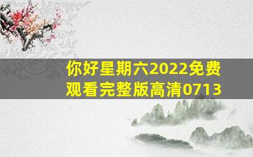 你好星期六2022免费观看完整版高清0713