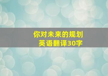 你对未来的规划英语翻译30字