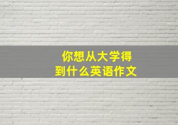 你想从大学得到什么英语作文