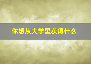 你想从大学里获得什么