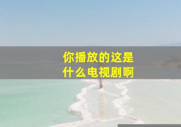 你播放的这是什么电视剧啊