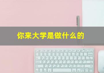 你来大学是做什么的