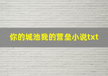 你的城池我的营垒小说txt