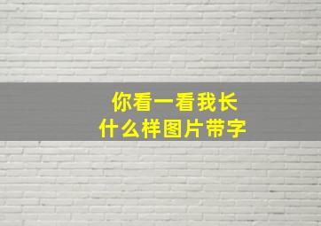 你看一看我长什么样图片带字