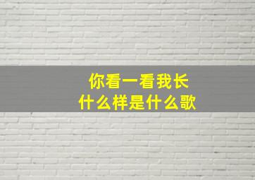 你看一看我长什么样是什么歌