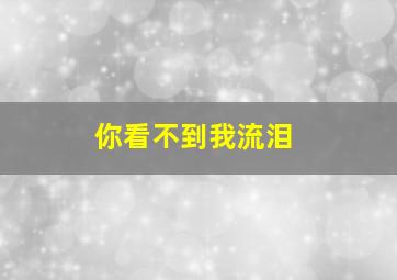 你看不到我流泪