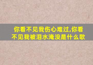 你看不见我伤心难过,你看不见我被泪水淹没是什么歌