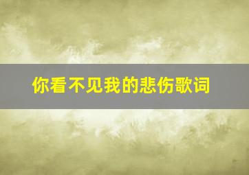 你看不见我的悲伤歌词