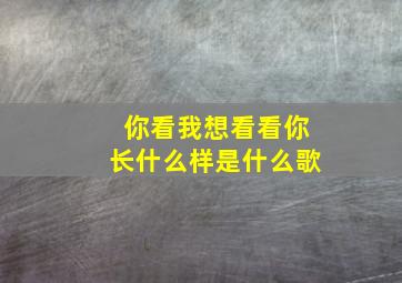 你看我想看看你长什么样是什么歌