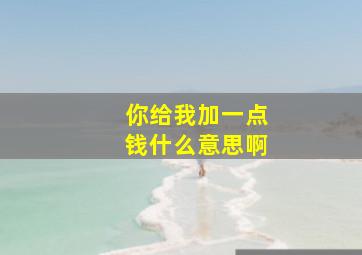 你给我加一点钱什么意思啊