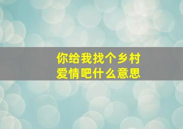 你给我找个乡村爱情吧什么意思