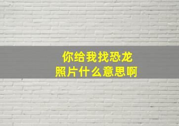 你给我找恐龙照片什么意思啊