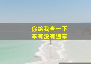 你给我查一下车有没有违章