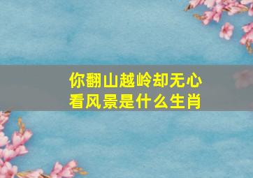 你翻山越岭却无心看风景是什么生肖