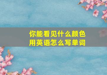 你能看见什么颜色用英语怎么写单词