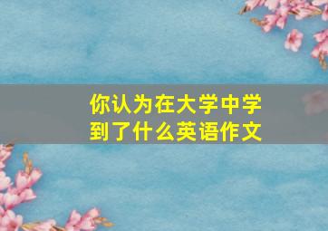 你认为在大学中学到了什么英语作文