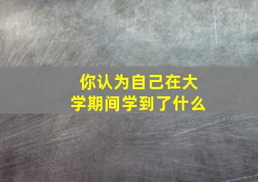 你认为自己在大学期间学到了什么