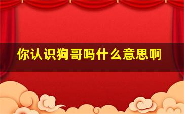 你认识狗哥吗什么意思啊