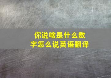 你说啥是什么数字怎么说英语翻译