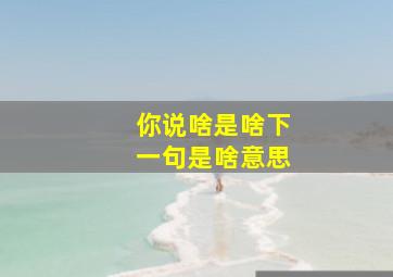 你说啥是啥下一句是啥意思